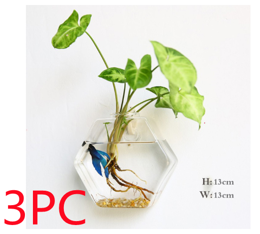 Fashion Wall Hanging Glass Flower Vase Terrarium Wall Fish Tank