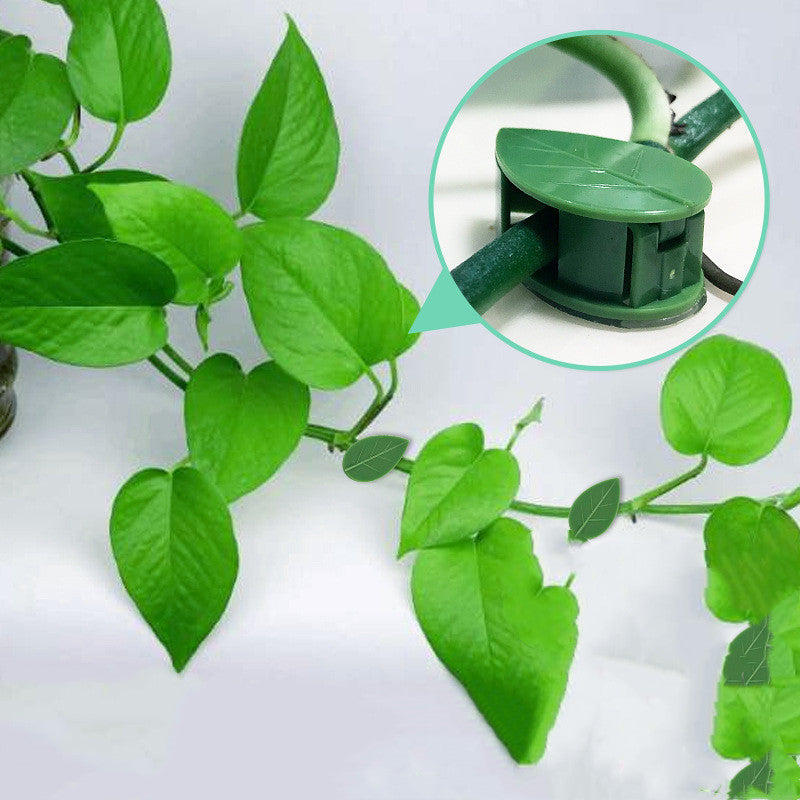Self-Adhesive Plant Fixture Clip Green Dill Fixator Garden Decor