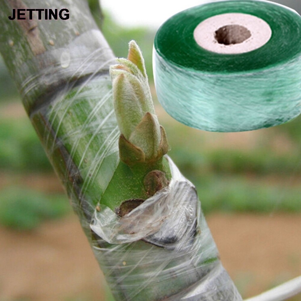 2CM x 100M / 1 Roll Grafting Tape Garden Tools Fruit Trees