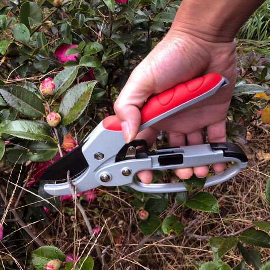 Household trimming scissors