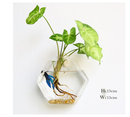 Fashion Wall Hanging Glass Flower Vase Terrarium Wall Fish Tank