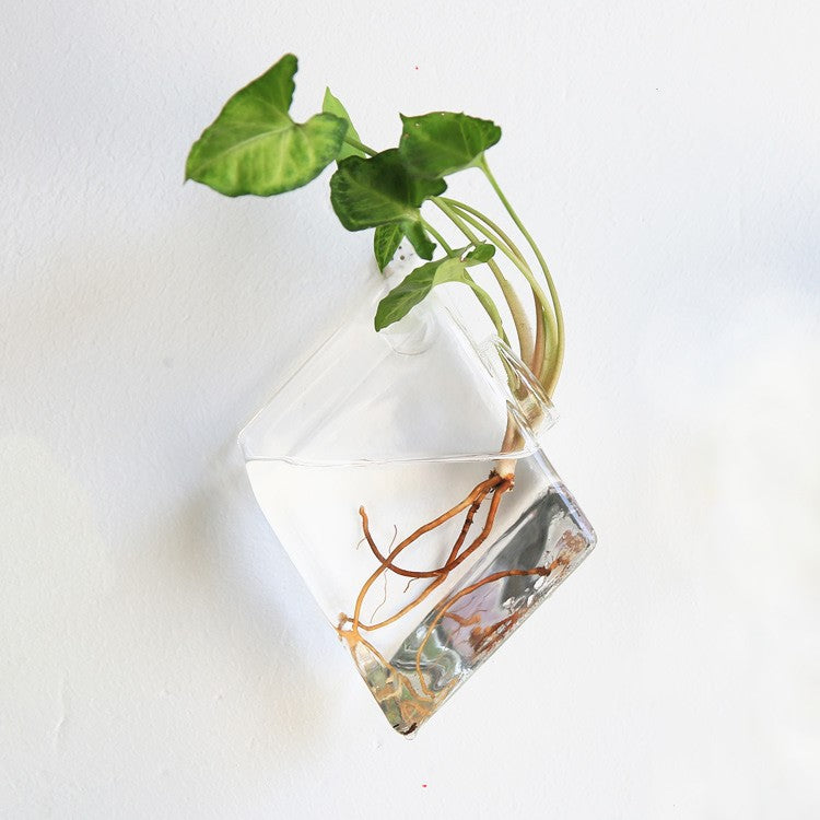 Fashion Wall Hanging Glass Flower Vase Terrarium Wall Fish Tank