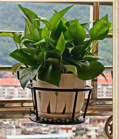 Wrought Iron Balcony Flower Stand Railing Flower Stand Guardrail Hanging Flower Pot