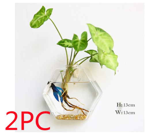Fashion Wall Hanging Glass Flower Vase Terrarium Wall Fish Tank