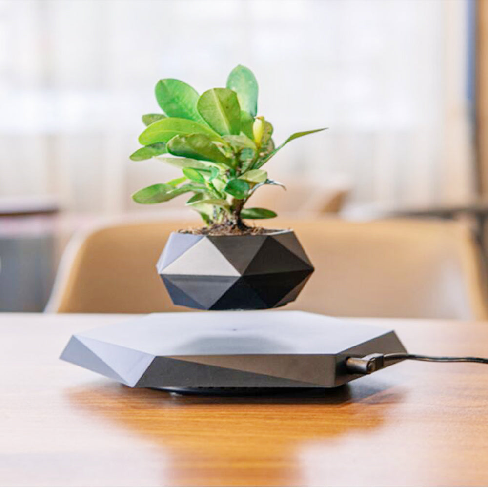 Floating Magnetic Levitating Flower Pot Bonsai Air Plant Pot Planter Potted