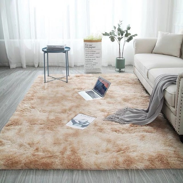 Fashion Fluffy Non-slip Mixed Dyed Carpet
