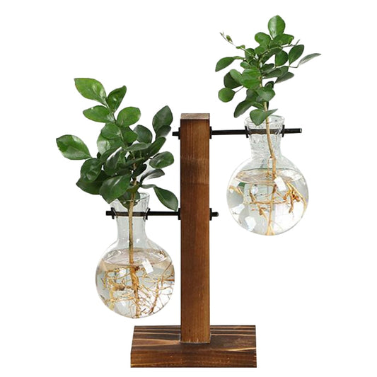 Terrarium Plant Vases Vintage Flower Pot