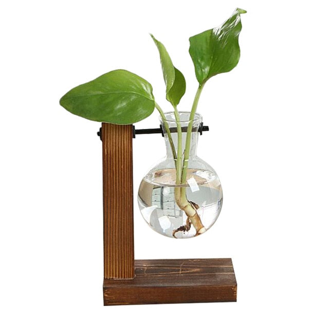 Terrarium Plant Vases Vintage Flower Pot