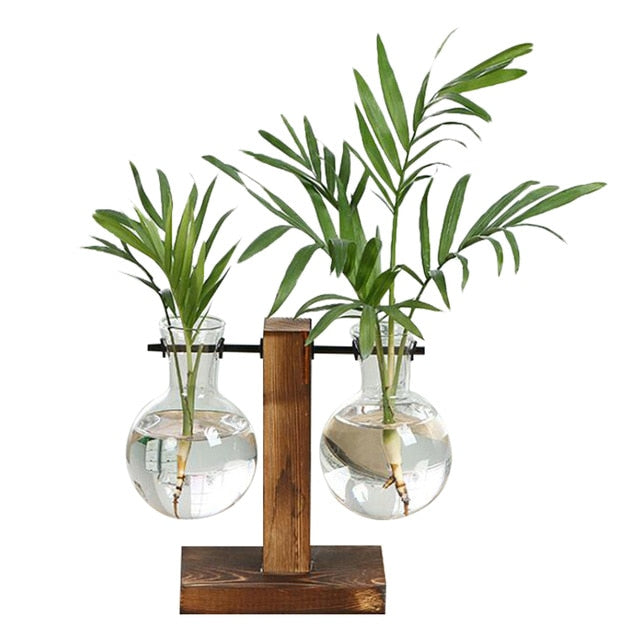 Terrarium Plant Vases Vintage Flower Pot