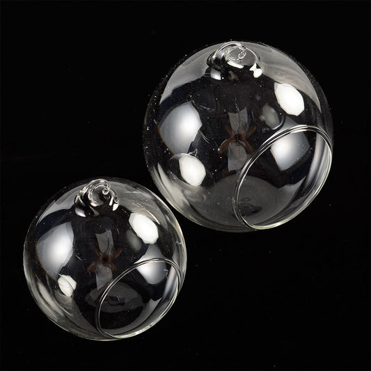 Clear Hanging Ball Glass Flowerpot