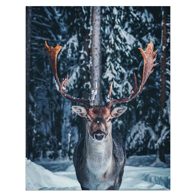 Mountain Lake Waterfall Scandinavian Poster