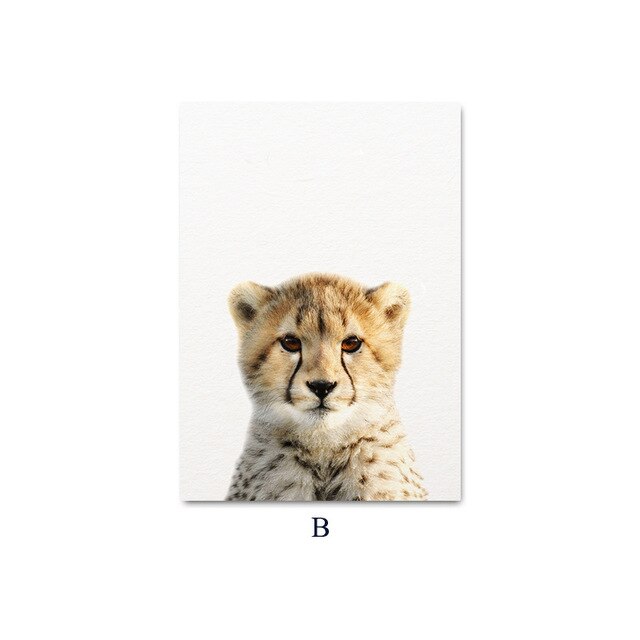 Baby Animal Child Poster Wall Art