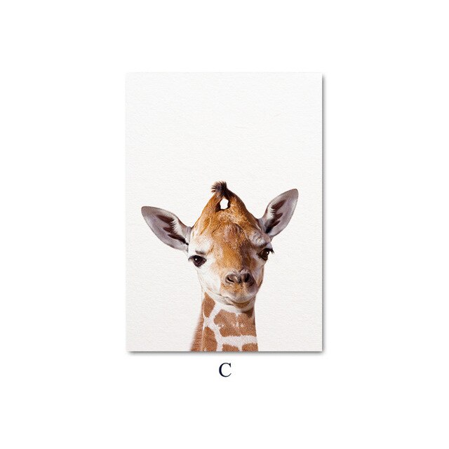 Baby Animal Child Poster Wall Art