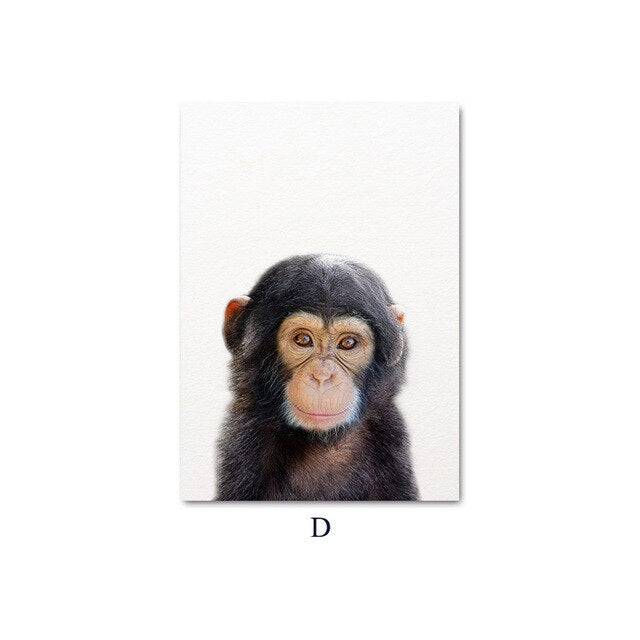 Baby Animal Child Poster Wall Art