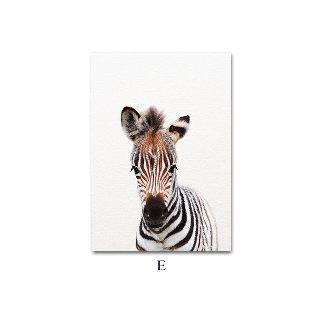 Baby Animal Child Poster Wall Art