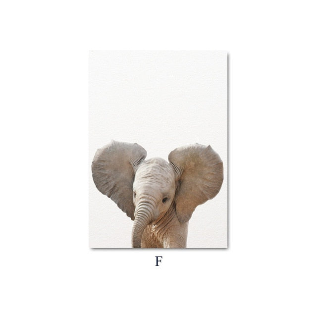 Baby Animal Child Poster Wall Art