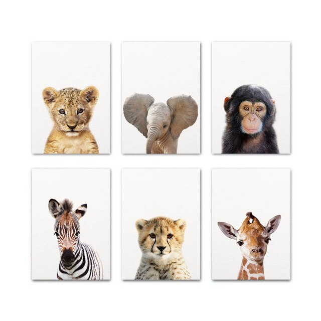 Baby Animal Child Poster Wall Art