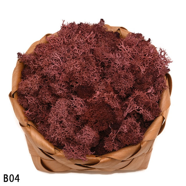 Artificial Plant Eternal Life Moss
