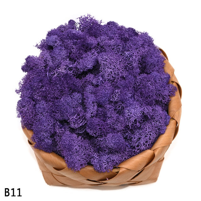 Artificial Plant Eternal Life Moss