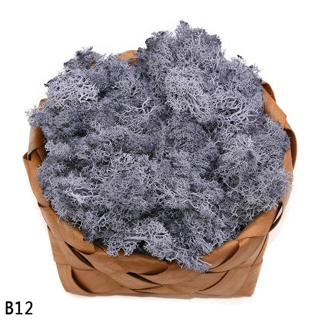 Artificial Plant Eternal Life Moss