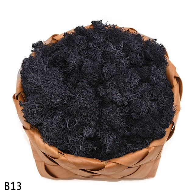 Artificial Plant Eternal Life Moss