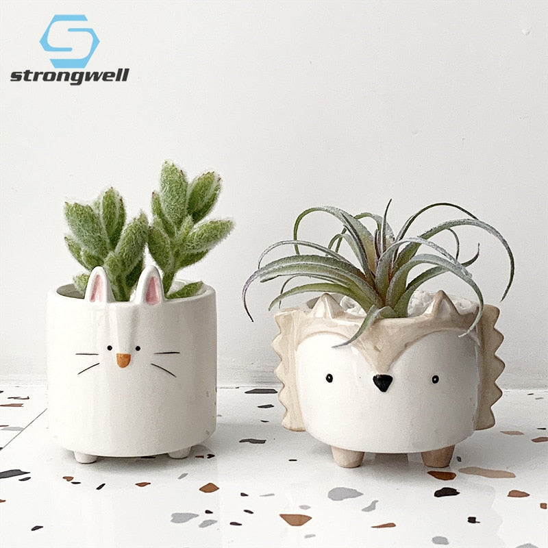 Succulent Ceramic Flowerpot Creative