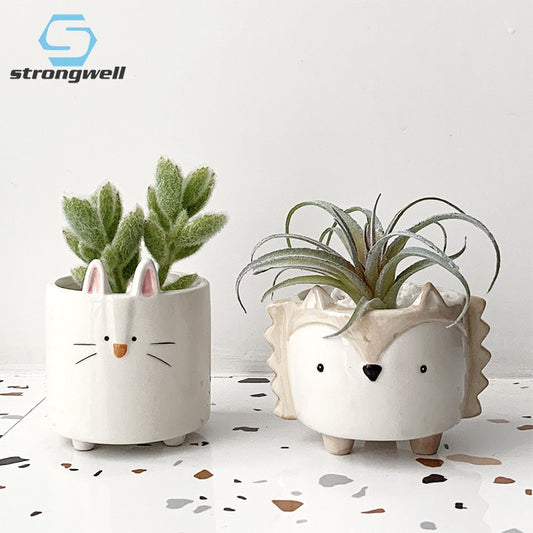 Succulent Ceramic Flowerpot Creative
