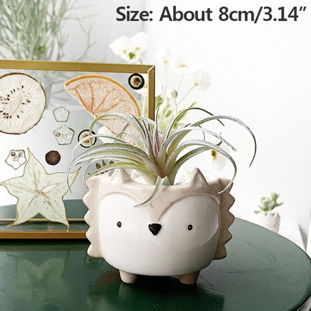Succulent Ceramic Flowerpot Creative