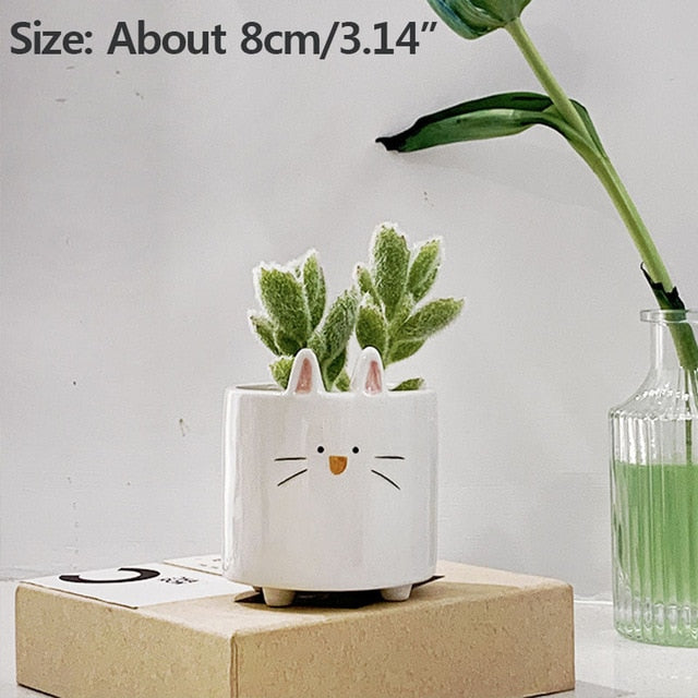 Succulent Ceramic Flowerpot Creative