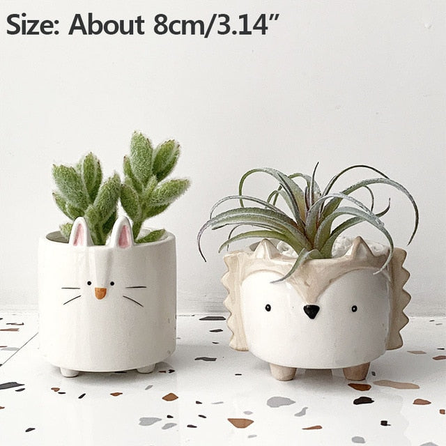 Succulent Ceramic Flowerpot Creative