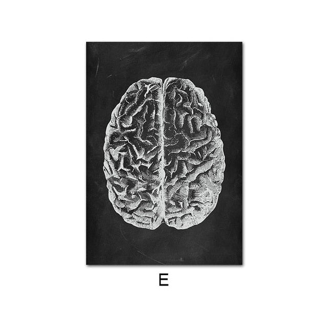 Human Anatomy Artwork Wall Picture