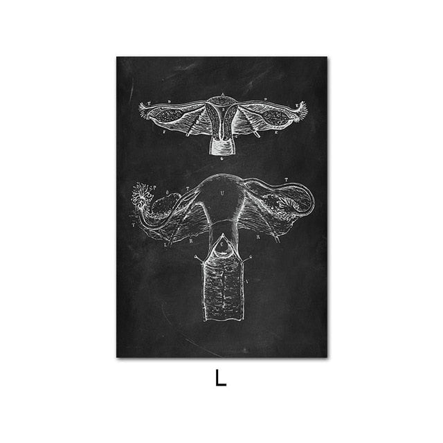 Human Anatomy Artwork Wall Picture