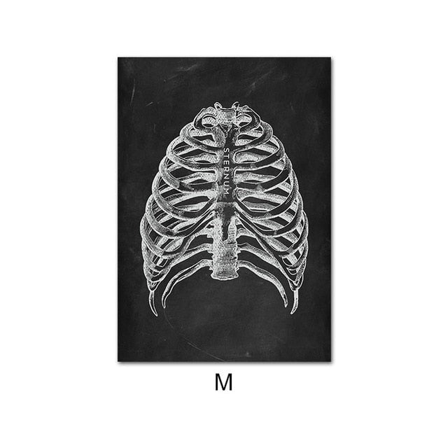 Human Anatomy Artwork Wall Picture