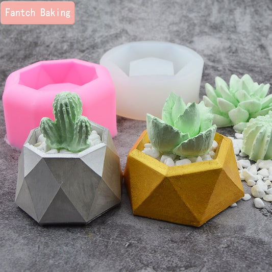 Succulent Plants Making Concrete Silicone