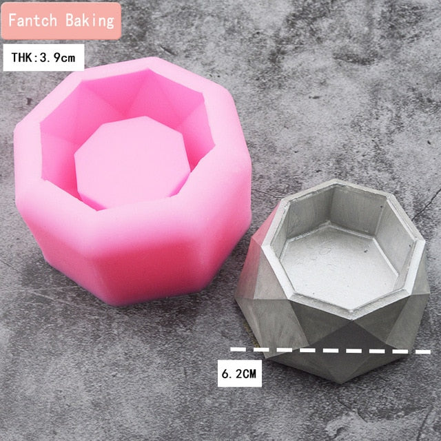Succulent Plants Making Concrete Silicone