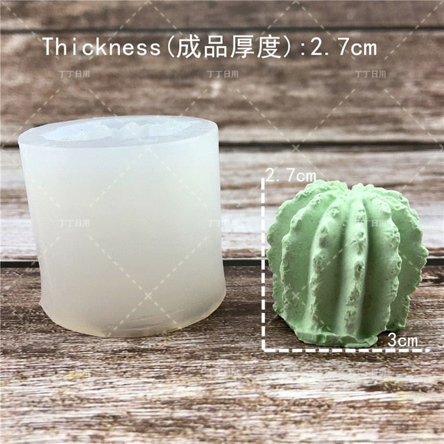 Succulent Plants Making Concrete Silicone
