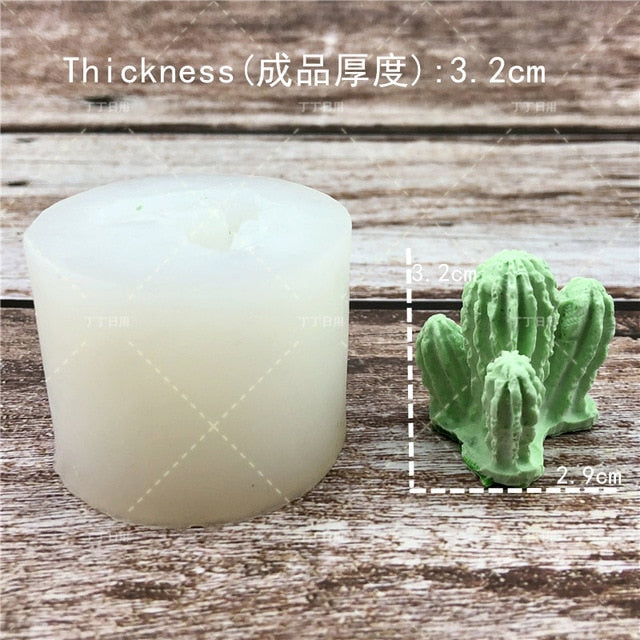 Succulent Plants Making Concrete Silicone