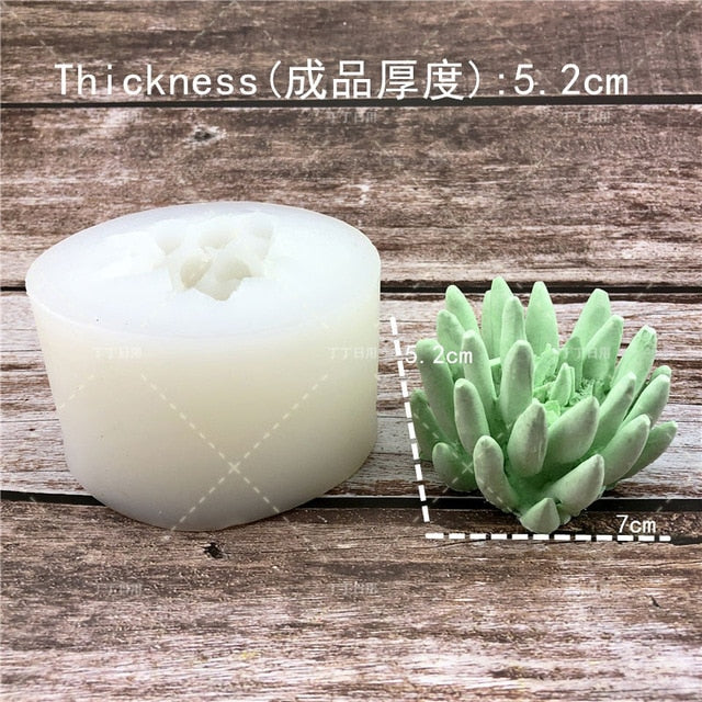 Succulent Plants Making Concrete Silicone