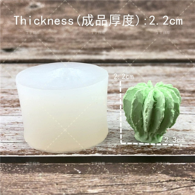 Succulent Plants Making Concrete Silicone