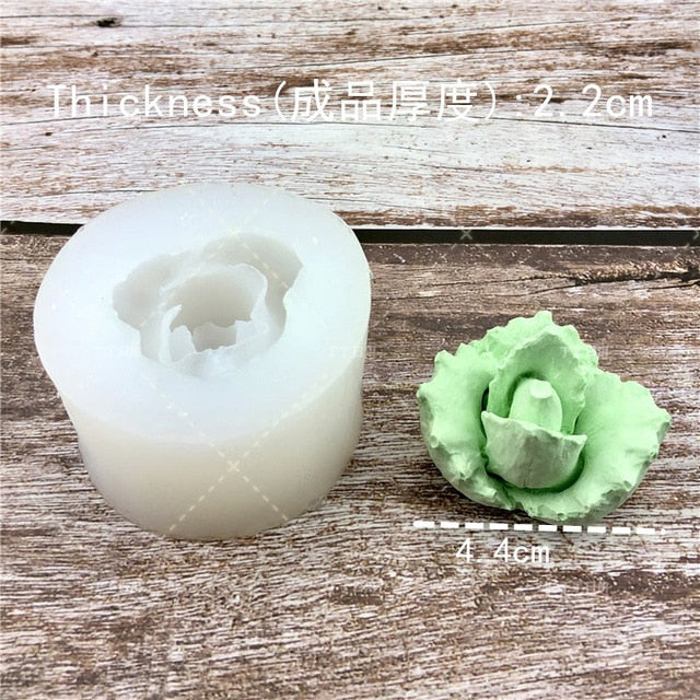 Succulent Plants Making Concrete Silicone