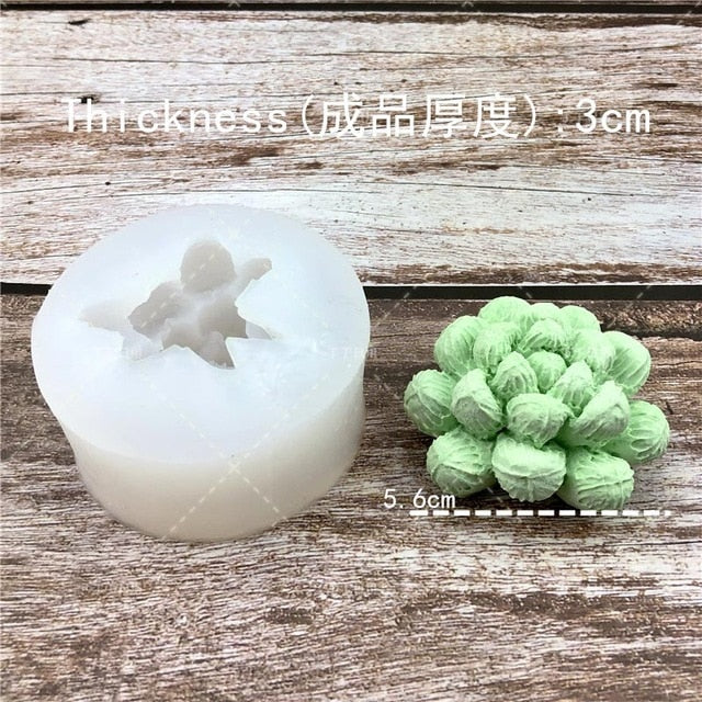Succulent Plants Making Concrete Silicone