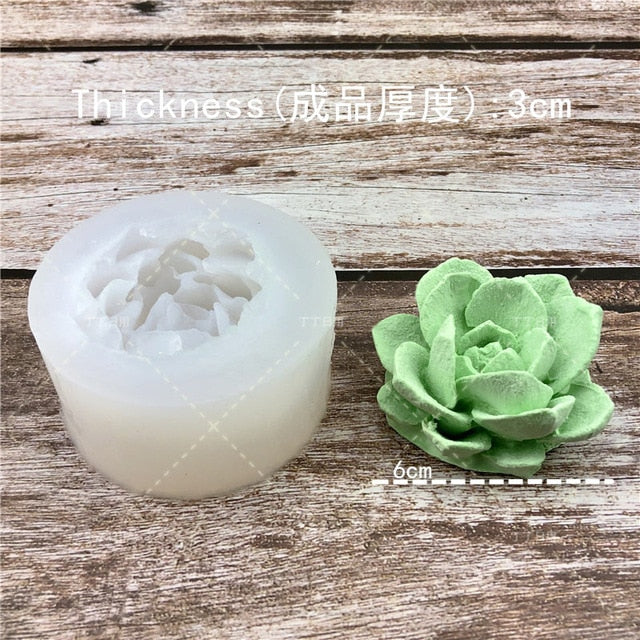 Succulent Plants Making Concrete Silicone