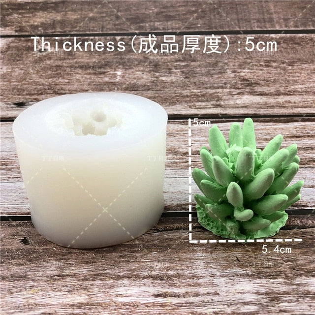 Succulent Plants Making Concrete Silicone