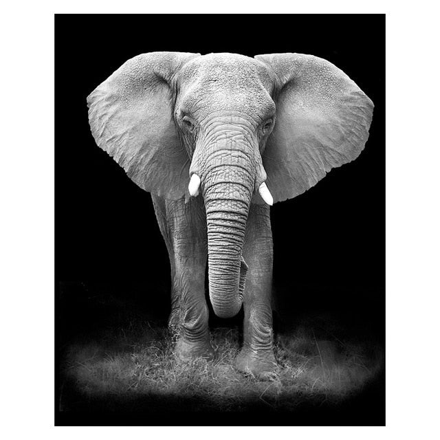 Canvas Painting Animal Wall Art Posters and Prints Wall Pictures