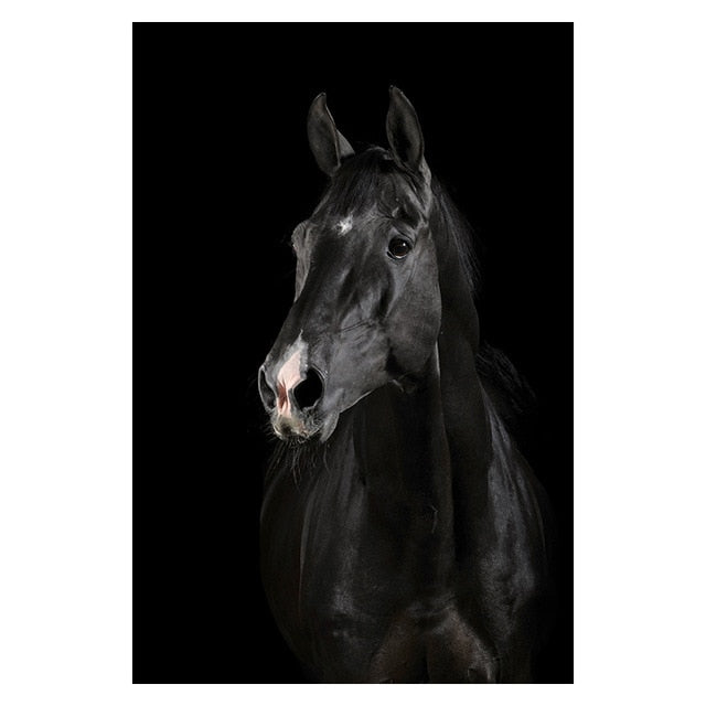 Canvas Painting Animal Wall Art Posters and Prints Wall Pictures