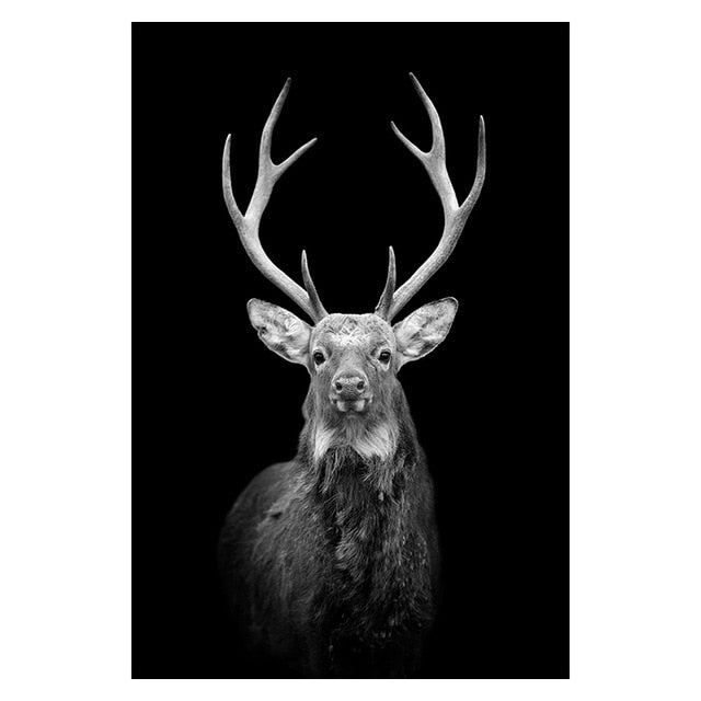 Canvas Painting Animal Wall Art Posters and Prints Wall Pictures