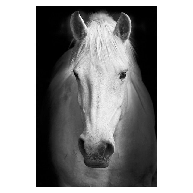 Canvas Painting Animal Wall Art Posters and Prints Wall Pictures