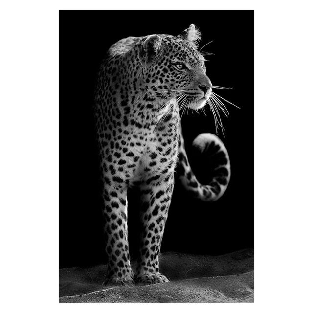 Canvas Painting Animal Wall Art Posters and Prints Wall Pictures