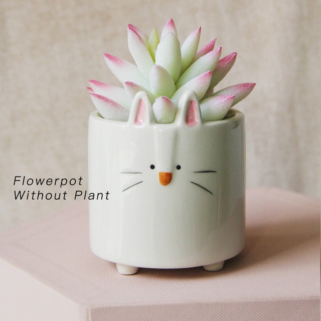 Ceramic flower pot Cartoon Animal plant