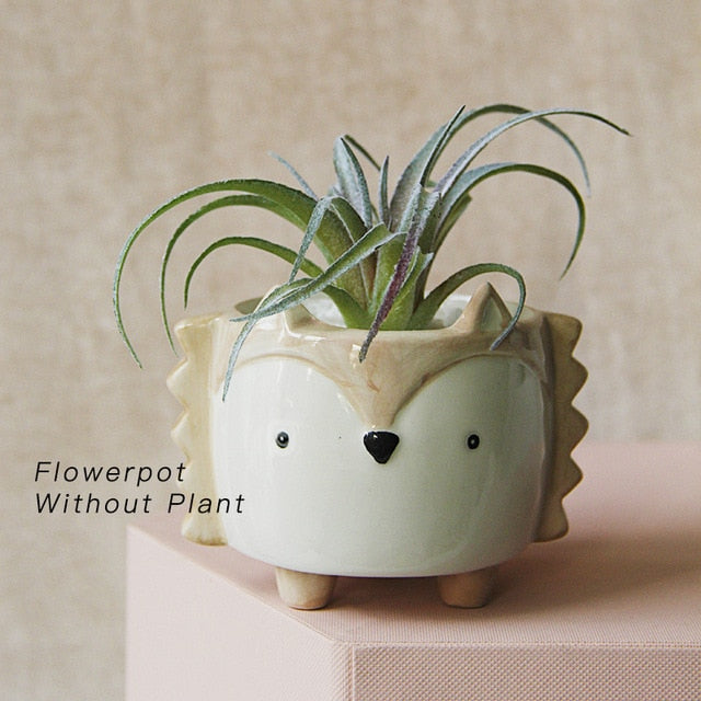 Ceramic flower pot Cartoon Animal plant